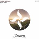 Bruno Motta - Silk Notes