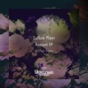 Callum Plant - Bleeding Heart (Original Mix)