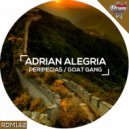 Adrian Alegria - Peripecias (Original Mix)