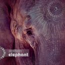 StereOMantra - The Elephant