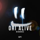 Biggoose - Ori Alive