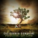 California Sunshine - Welcome To Paradise
