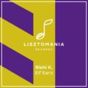 Rishi K. - Elf Ears (Juanma Llopis Remix)