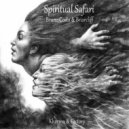 Bruno Costa - Spiritual Safari