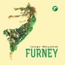 Furney - The End (Original Mix)
