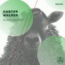 Carter Walker - Disco Shadow
