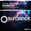Ash K & Junior Pres. H.Baalbaki - Mammoth (Edward Rohm Remix)