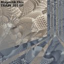 Magnetik Flux - Train 303