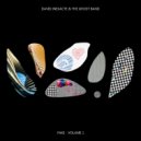 David Inexacte & The Ghost Band - Fake #02 (Original Mix)