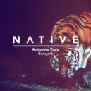 Antonino Pace - Modular