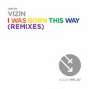 Vizin - I Was Born This Way (Hector Fonseca & Eduardo Lujan Vocal Remix)