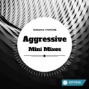 Groove Maniak - Aggressive 02 (Original Mix)