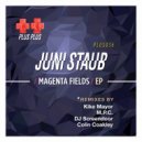 Juni Staub - Sky Dome (DJ Screendoor\'s Vanilla Sky Remix)