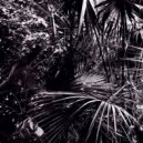 Nepou - W.W. (Original Mix)