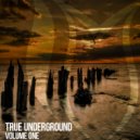 Max Rise & Roman Messer - The Last Kiss (Original Mix)