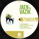 Jaen & Vazik - Electra (Original Mix)