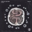 Carlos Fontana - The Key