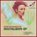 Igor Avramovic - Digitalizam (Original Mix)
