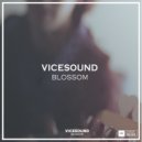 ViceSound - Blossom (Original Mix)
