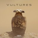 jrdsound - Vultures 2016