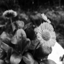 Lotus Land Pilot - Hopo