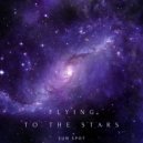 Sun Spot - Flying To The Stars