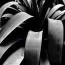 Till Noon - Supermoon (Original Mix)