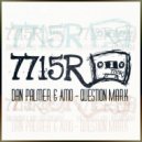 Dan Palmer & Amo - Question Mark