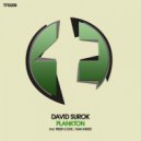 David Surok - Plankton (Original Mix)