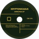 Kryptonicadjs - From Disco To Techno (Original Mix)
