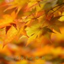 Vlad-Reh - Raduga Sveta