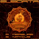 Subdata - Native (Original Mix)