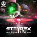 Sttyrex - Subsidele (Original Mix)
