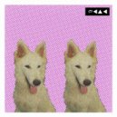 Kyohei Shibuya - Dim Trail (Original Mix)