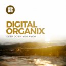 Digital Organix - Ukiyo (Original Mix)