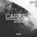 Carkeys - Triks