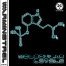 Warminstrel - Molecular Levels
