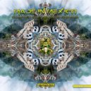 Roby vs M.A.D - Invasion