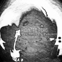 Haunted Echo - Closer To Perfection