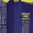 Overcast Sound - Brackish (Original Mix)