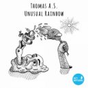 Thomas A.S. - Interconnection