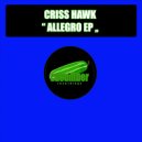 Criss Hawk - Disco Smile (Original Mix)
