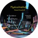 Mystical Institute - Shared Growth