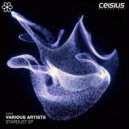 Nelver - The Traveller