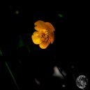 Siguiente Tecnologia - Consultation (Original Mix)