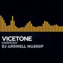 Vicetone vs. Morgan Page feat. Nadia Ali - Carry Harmony