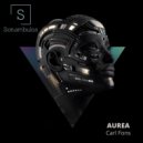 Carl Fons - Aurea (original Mix)