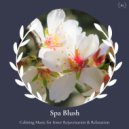 Serenity Calls - Cleansing Session (Original Mix)