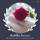 Balanced Life - Self Exfoliation
