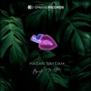 Hasan Saydam - Back To You (Original Mix)